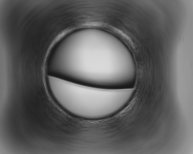 X0000098131373200804171050