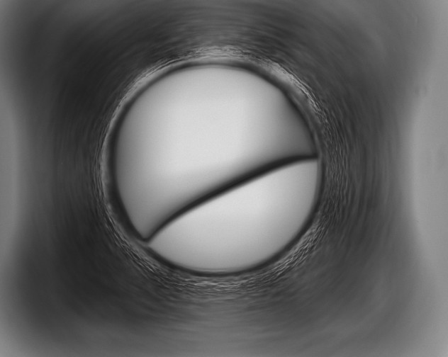X0000098131374200804171050