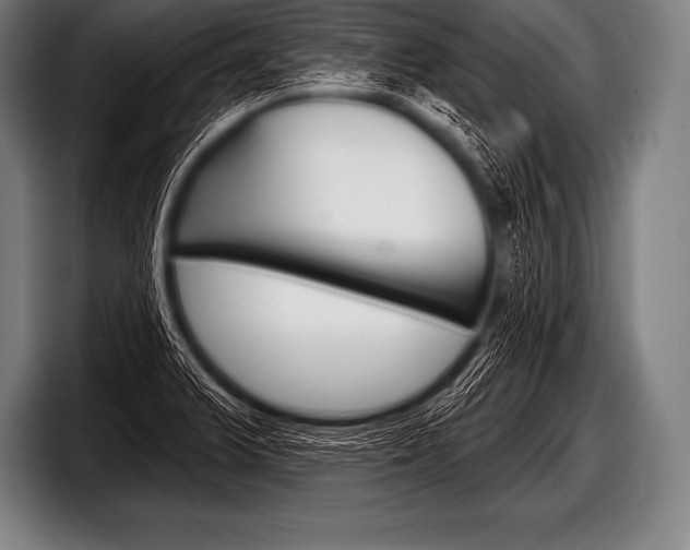 X0000098131375200804171050