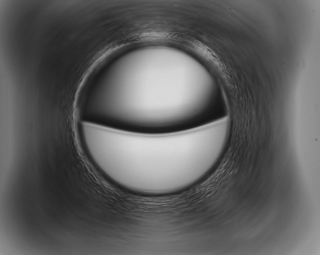 X0000098131376200804171050