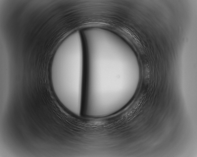X0000098131377200804171050