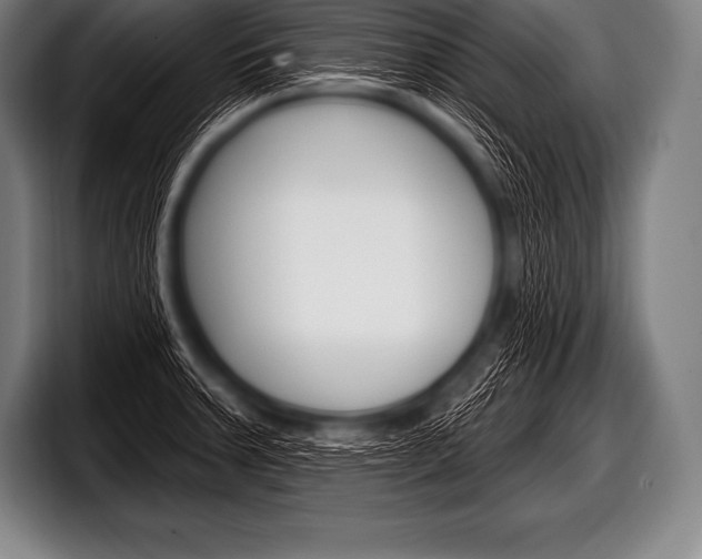 X0000098131379200804171050