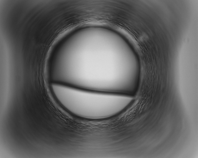 X0000098131381200804171050