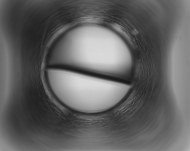 X0000098131383200804171050