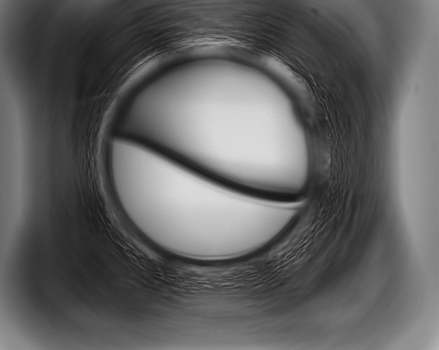 X0000098131384200804171050