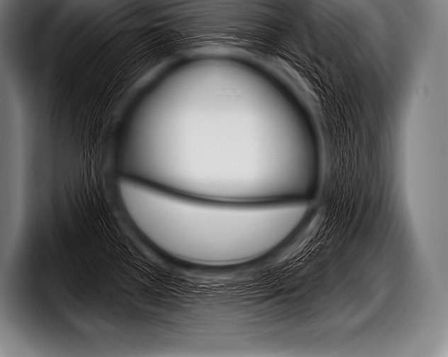 X0000098131385200804171050