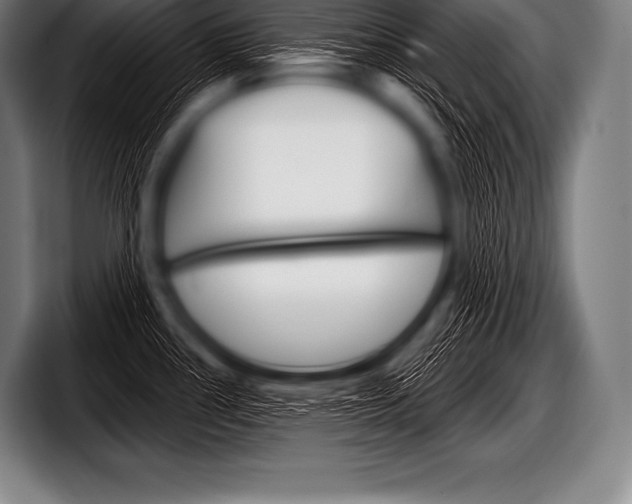 X0000098131386200804171050