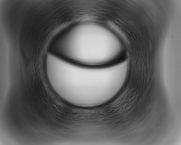 X0000098131388200804171050