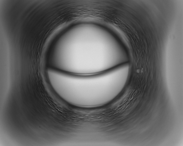 X0000098131389200804171050