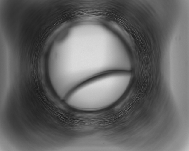 X0000098131390200804171050