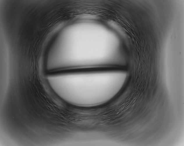 X0000098131391200804171050