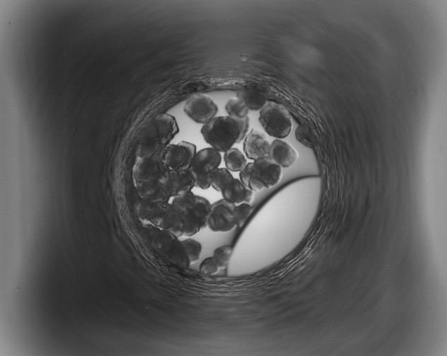 X0000098131393200804171049