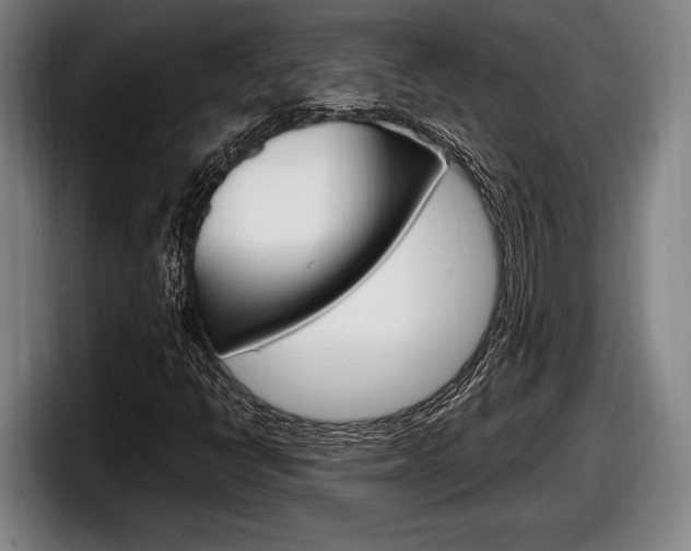 X0000098131398200804171049