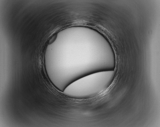 X0000098131401200804171049
