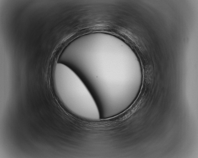 X0000098131402200804171049