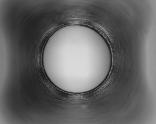 X0000098131403200804171049