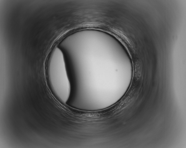 X0000098131404200804171049