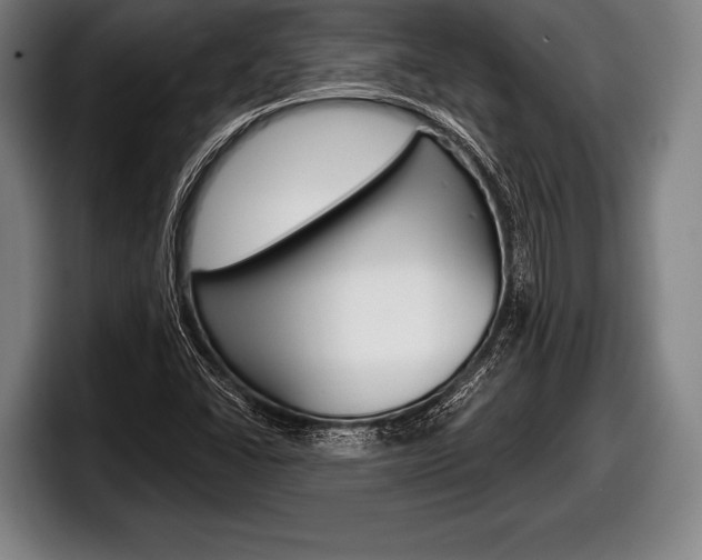 X0000098131406200804171049