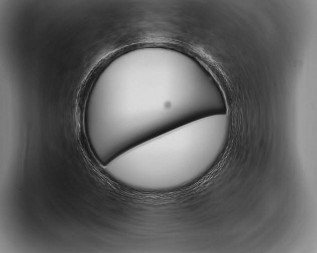 X0000098131408200804171049