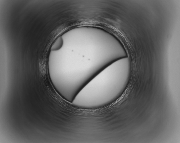 X0000098131409200804171049