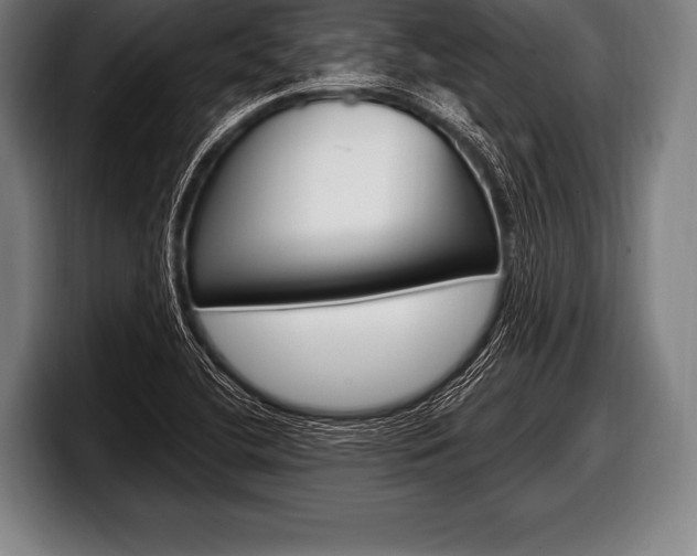 X0000098131412200804171050