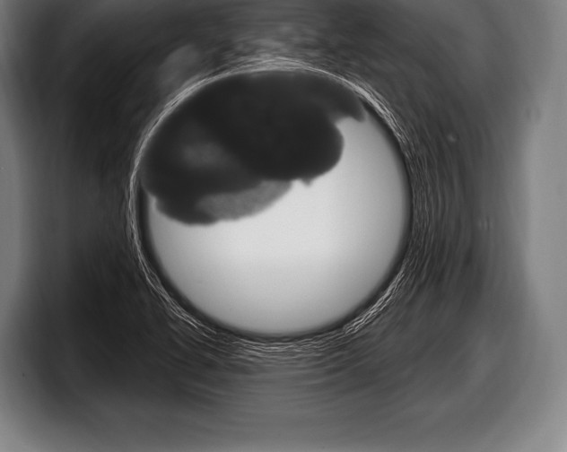 X0000098131414200804171050