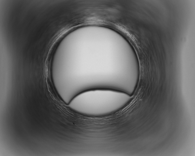 X0000098131415200804171050