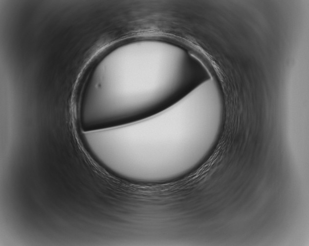 X0000098131416200804171050