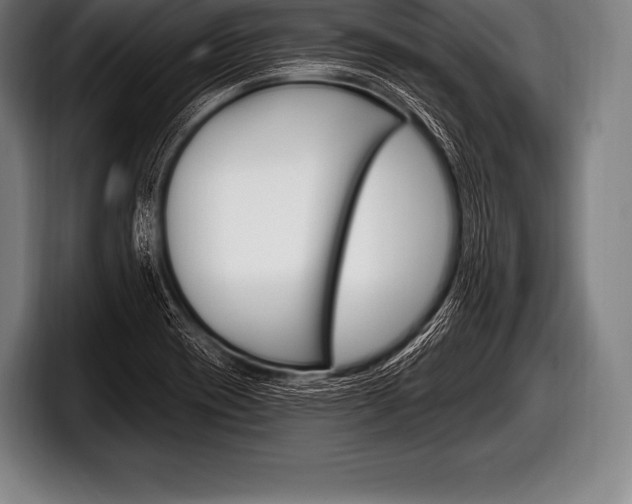 X0000098131417200804171050