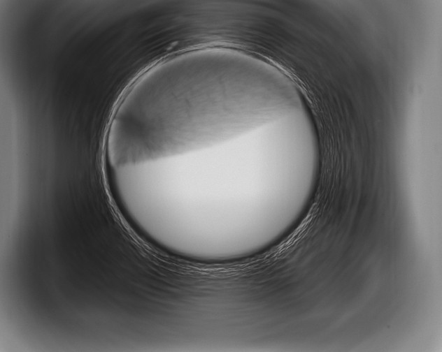 X0000098131418200804171050