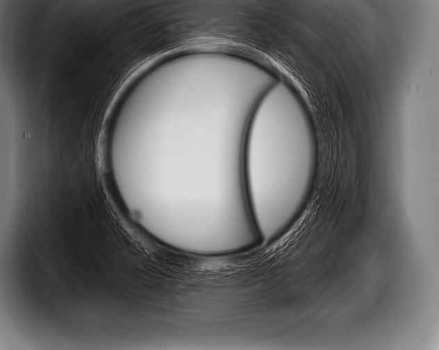 X0000098131421200804171050