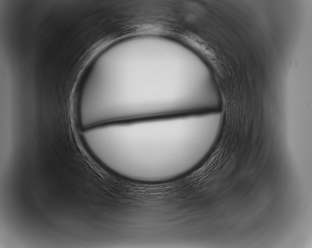 X0000098131423200804171050