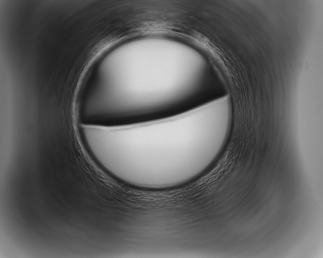 X0000098131424200804171050