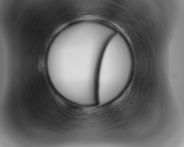 X0000098131425200804171050
