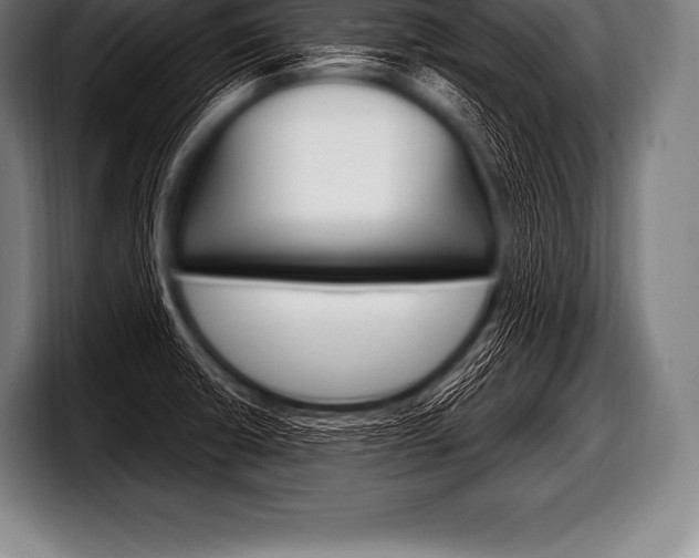 X0000098131426200804171050
