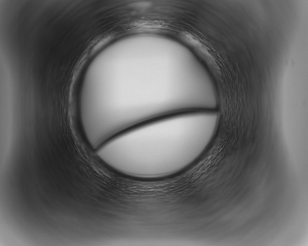 X0000098131427200804171050