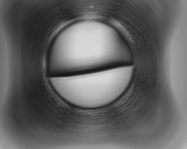 X0000098131428200804171050