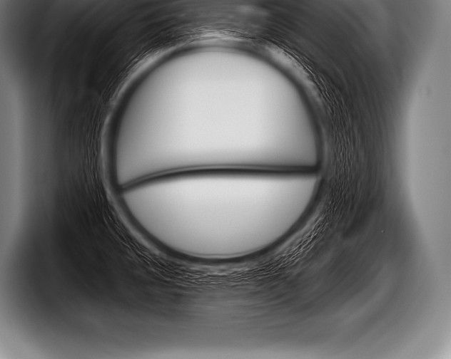 X0000098131429200804171050