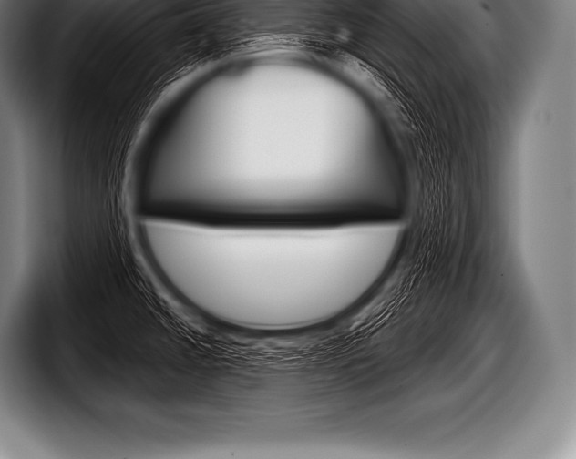 X0000098131430200804171050