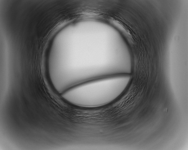 X0000098131431200804171050