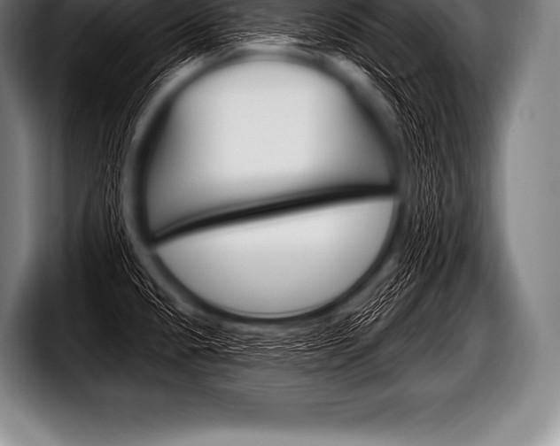 X0000098131432200804171050