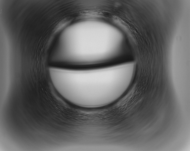 X0000098131433200804171050