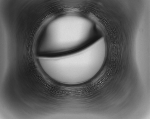 X0000098131434200804171050