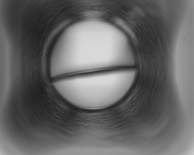 X0000098131435200804171050