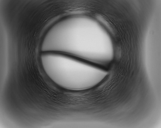 X0000098131436200804171050