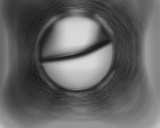 X0000098131437200804171050