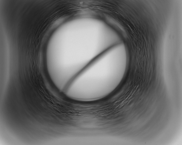X0000098131439200804171050