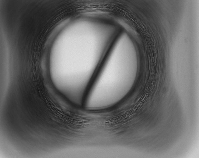 X0000098131440200804171050