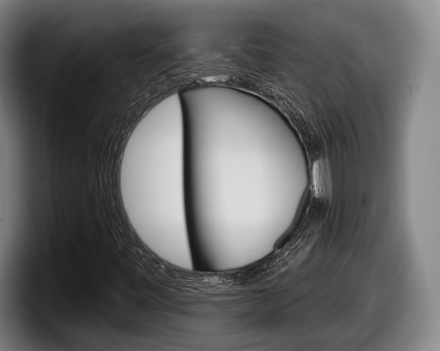 X0000098131443200804171049