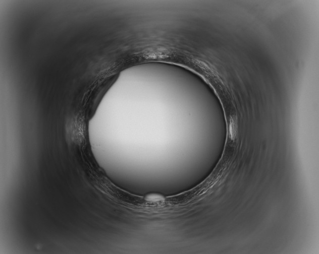 X0000098131444200804171049